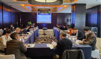 集聚智慧 共繪藍圖——黃文川主持北京專家咨詢會為百色重點開發(fā)開放試驗區(qū)建設把脈