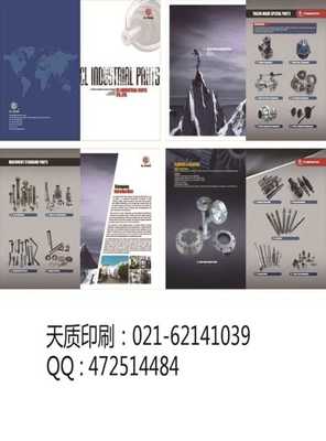 上海普陀區(qū) 融合畫冊(cè)印刷與軟件開發(fā)，打造數(shù)字時(shí)代高端視覺傳播方案